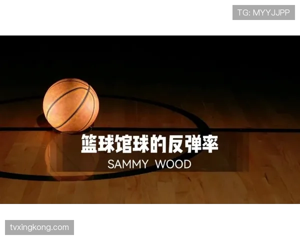 篮球赛场争议球处理规则的判定依据与解析