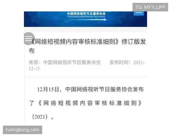 视频回放判罚规则如何影响比赛关键判罚？
