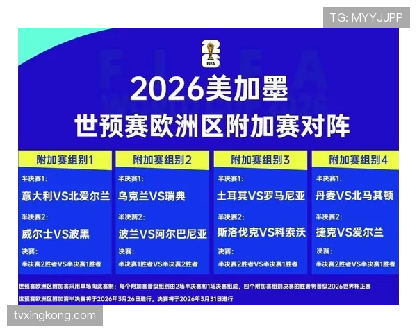 捷克队2026世界杯F组晋级概率分析